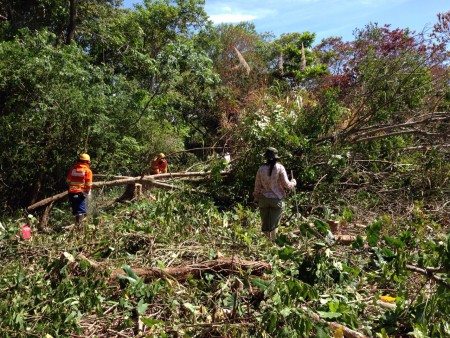 Supressão da Mata Atlântica - APA Joanes Ipitanga